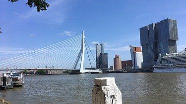 Aufnahme des Projekts DeRotterdam in Rotterdam