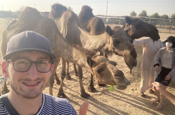 Männliche Person steht vor Kamelen und lächelt