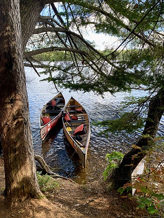 Two boats in the water with fir trees on the bank